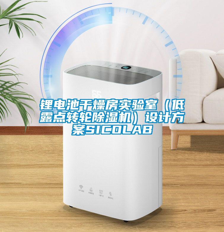 锂电池干燥房实验室（低露点转轮黄瓜视频下载污机）设计黄瓜视频下载APPSICOLAB