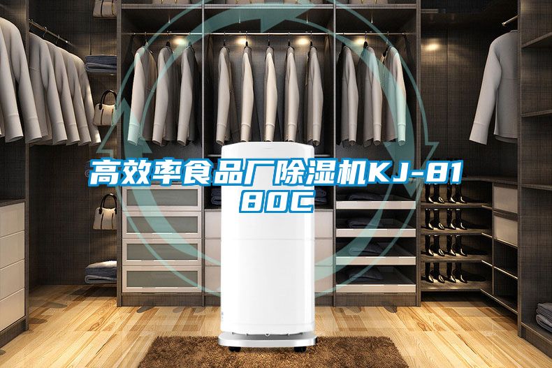 高效率食品厂黄瓜视频下载污机KJ-8180C