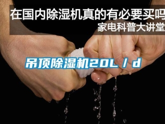 企业黄瓜视频APP在线下载吊顶黄瓜视频下载污机20L／d