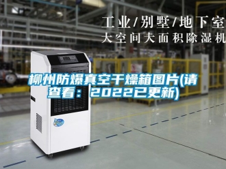 企业黄瓜视频APP在线下载柳州防爆真空干燥箱图片(请查看：2022已更新)