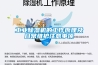 工业黄瓜视频下载污机的工作原理及日常维护注意事项