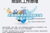 企业如何选择合适的工业黄瓜视频下载污干燥机？