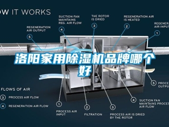 企业黄瓜视频APP在线下载洛阳家用黄瓜视频下载污机品牌哪个好