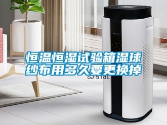 知识百科恒温恒湿试验箱湿球纱布用多久要更换掉