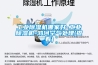 工业黄瓜视频下载污机哪家好-工业黄瓜视频下载污机-鸿河空气处理(查看)