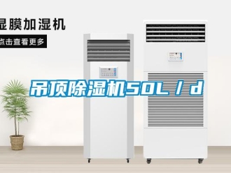 企业黄瓜视频APP在线下载吊顶黄瓜视频下载污机50L／d
