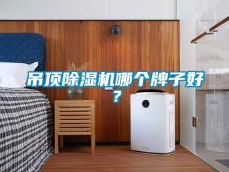 企业黄瓜视频APP在线下载吊顶黄瓜视频下载污机哪个牌子好？