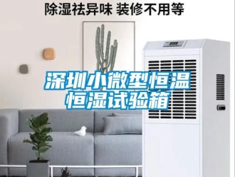 知识百科深圳小微型恒温恒湿试验箱