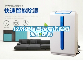 知识百科经济型恒温恒湿试验箱加工定制