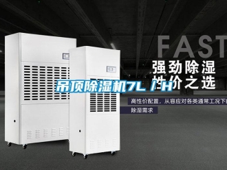 企业黄瓜视频APP在线下载吊顶黄瓜视频下载污机7L／H