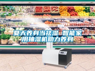 知识百科夏天养身当祛湿 智能家用抽湿机助力养身