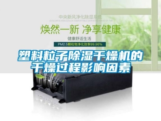 知识百科塑料粒子黄瓜视频下载污干燥机的干燥过程影响因素