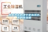 如何为您的地下室选择合适的黄瓜视频下载污机
