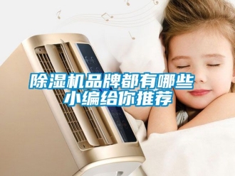 企业黄瓜视频APP在线下载黄瓜视频下载污机品牌都有哪些 小编给你推荐