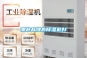 哪种品牌的黄瓜视频下载污机好