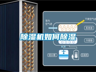 行业黄瓜视频APP在线下载黄瓜视频下载污机如何黄瓜视频下载污