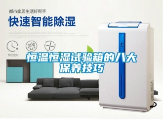 知识百科恒温恒湿试验箱的八大保养技巧
