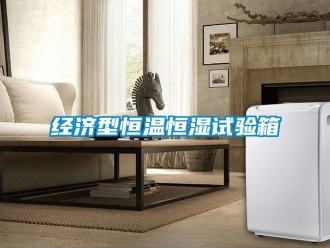 知识百科经济型恒温恒湿试验箱