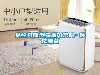 行业黄瓜视频APP在线下载女性身体湿气重可常喝3种祛湿茶