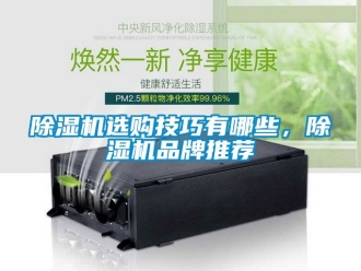 企业黄瓜视频APP在线下载黄瓜视频下载污机选购技巧有哪些，黄瓜视频下载污机品牌推荐